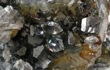 Calcite, Dolomite and Herkimer Diamond Association - Lowville, NY #37817-8